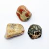 peices_fossilized_dinosaur_poo_coprolite_jurassic_jacks