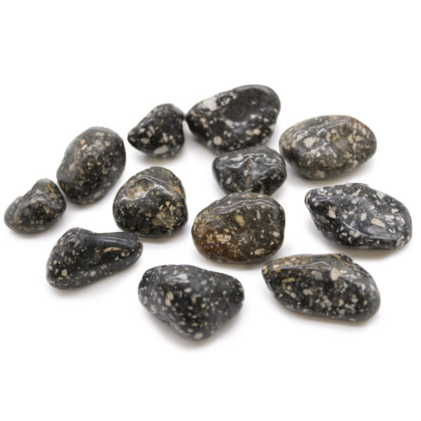 Guinea Fowl Jasper Tumbled Stone - Image 2