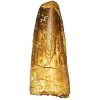 Spinosaurus Tooth