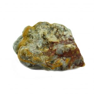 dinosaur poo dinosaur coprolite