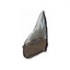 Megalodon Tooth (half) - Image 2