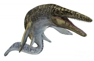 Mosasaur Dinosaur Swimming