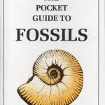 pocket-guide-to-fossils