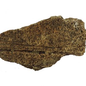 woolly_mammoth_bone jurassic jacks