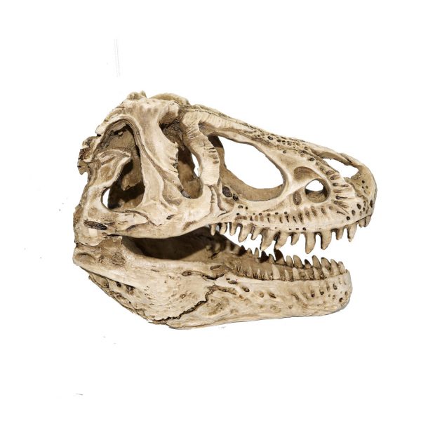 T Rex Skull white tyrannosaurus_rex_skull_replica1-14_scale_white_jurassic_jacks