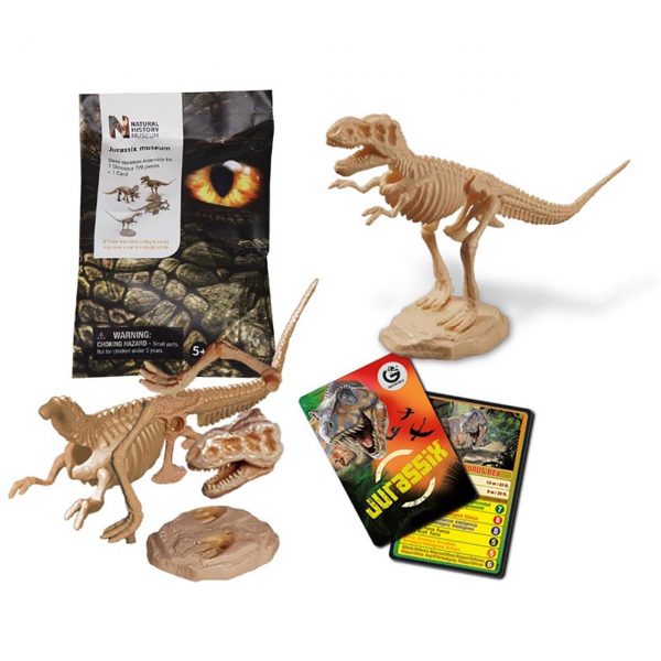 nhm_dinobones_collectable_pack_jurassic_jacks