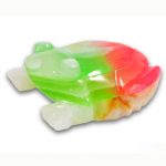 rainbow_onyx_frog