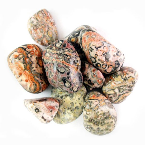 jasper_leopardskin_tumbledstone_jurassic_jacks