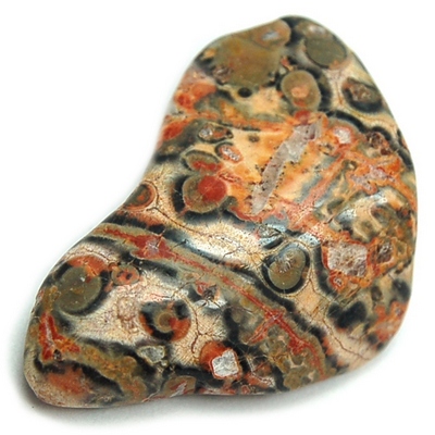 Leopardskin Jasper tumbled stone gemstone healing reki