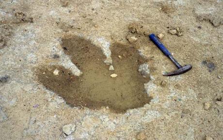 dinosaur foot print_