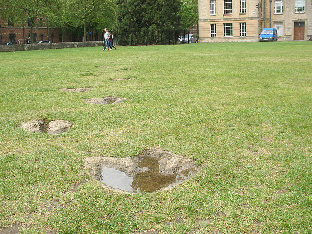 oxford_natural_history_museum_Dinosaur_footprints_