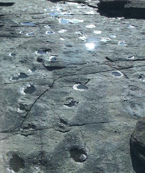vale_of_glamorgn_dinosaur_foot_prints3