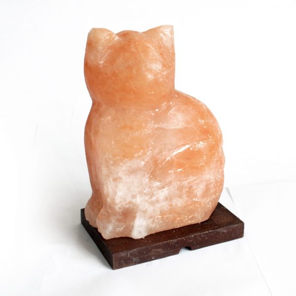 Cat Himalayan Salt Lamp