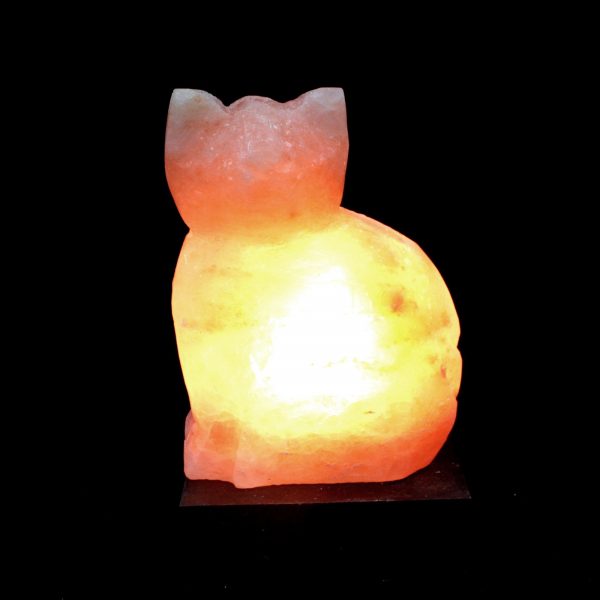 Cat Himalayan Salt Lamp
