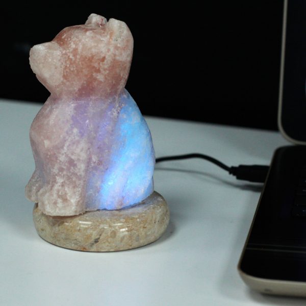 USB Dog Himalayan Salt Lamp