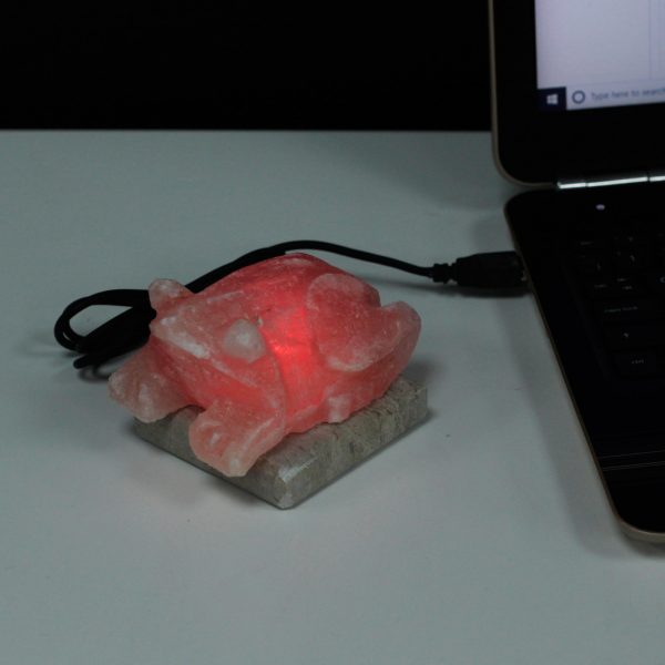 USB Toad Himalayan Salt Lamp