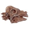 Dinosaur Dig Kit - Image 5