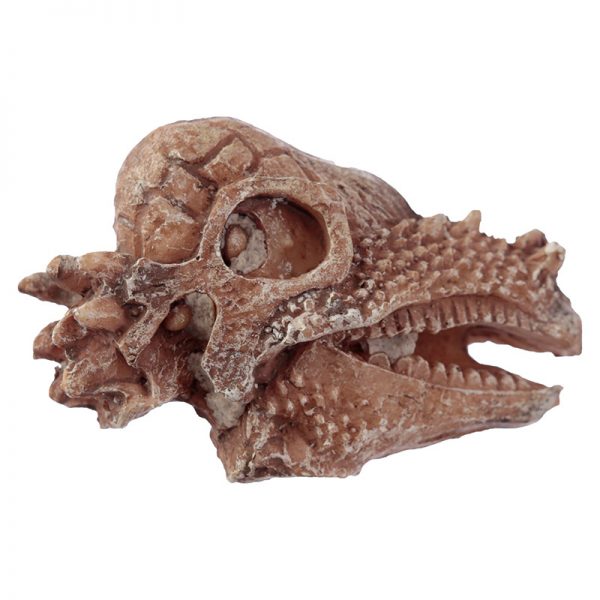Dinosaur Dig Kit - Image 5