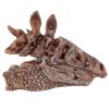 Dinosaur Dig Kit - Image 4
