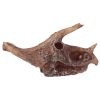 Dinosaur Dig Kit - Image 2