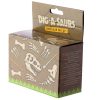 Dinosaur Dig Kit