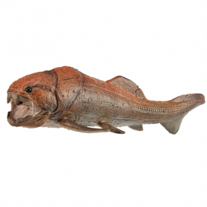 Dunkleosteus With Movable Jaw