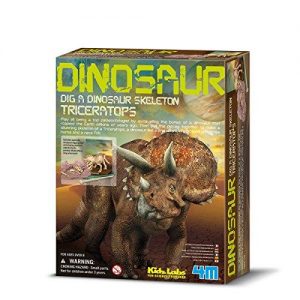 Triceratops Excavation Kit