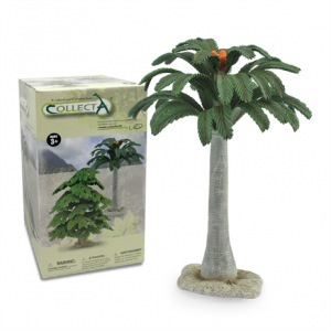 cycad tree