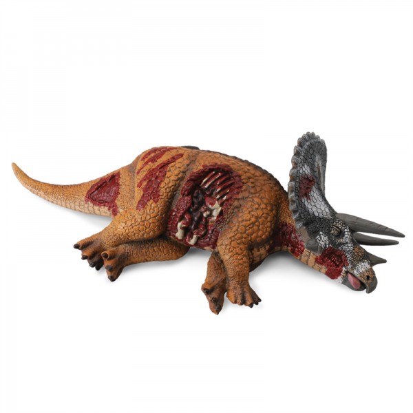 Dead Triceratops Toy Model