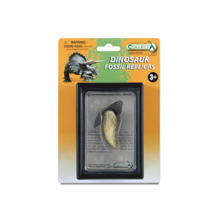 Tyrannosaurus Rex Tooth Replica