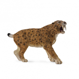 Smilodon Sabre Tooth Cat