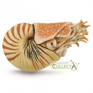 Nautilus Pompilius model Jurassic Jacks