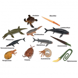 prehistoric_marine_animals_collection