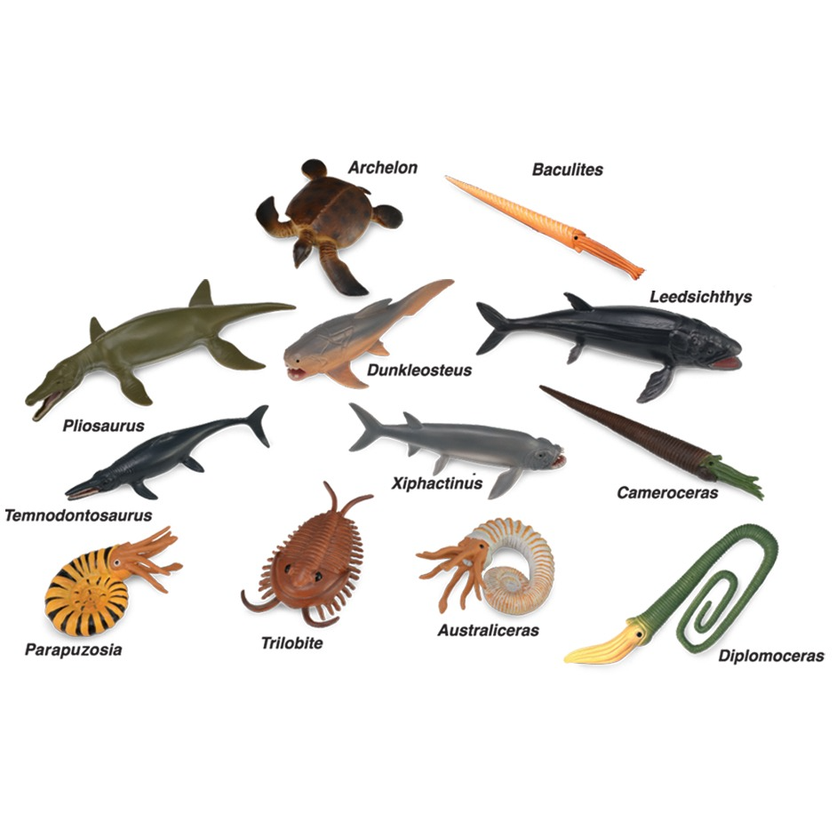 Prehistoric Marine Animals Collection - Jurassic Jacks Fossil Shack
