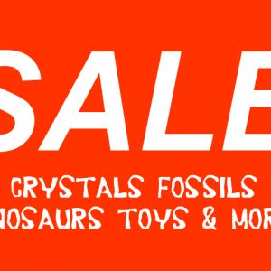 January Sale