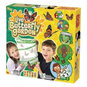 Butterfly Garden