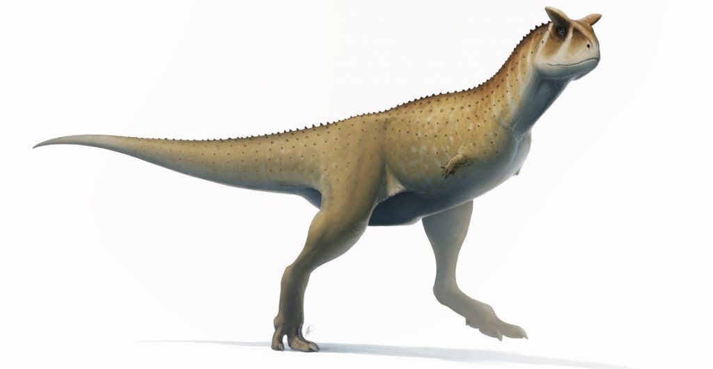 armless unusual dinosaur