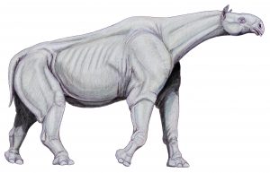 Paraceratherium