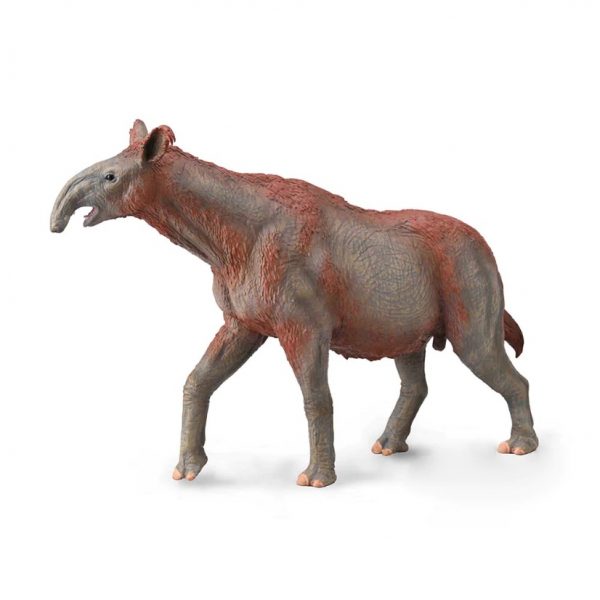 Paraceratherium prehistoric creature Model