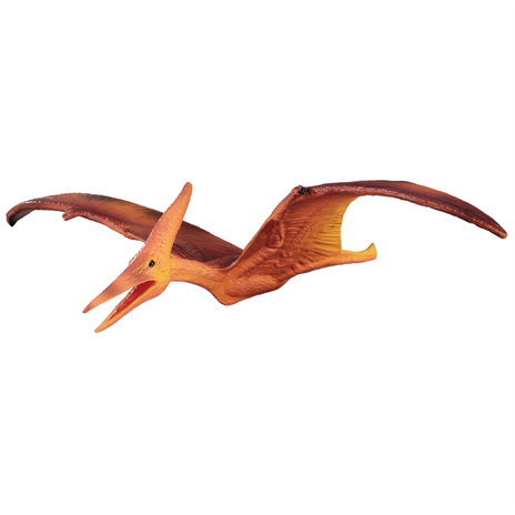 Pteranodon Model