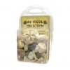 Fossil Collection Box & Booklet - Image 3