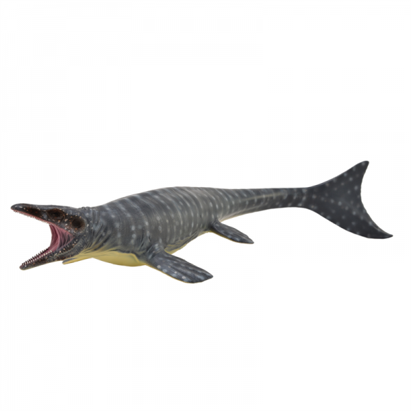 mosasaurus collect A model