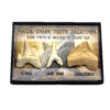 Fossil shark tooth collection shark teeth