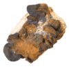 Mineral Collection 36 Pieces - Image 8