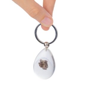Real Meteorite in Acrylic Keyring