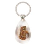 ammonite_keyring